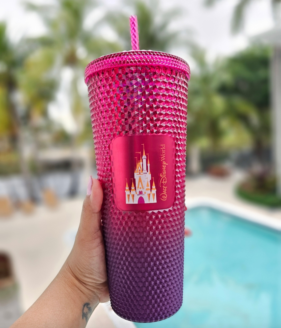 Walt Disney World Starbucks Tumbler With Straw