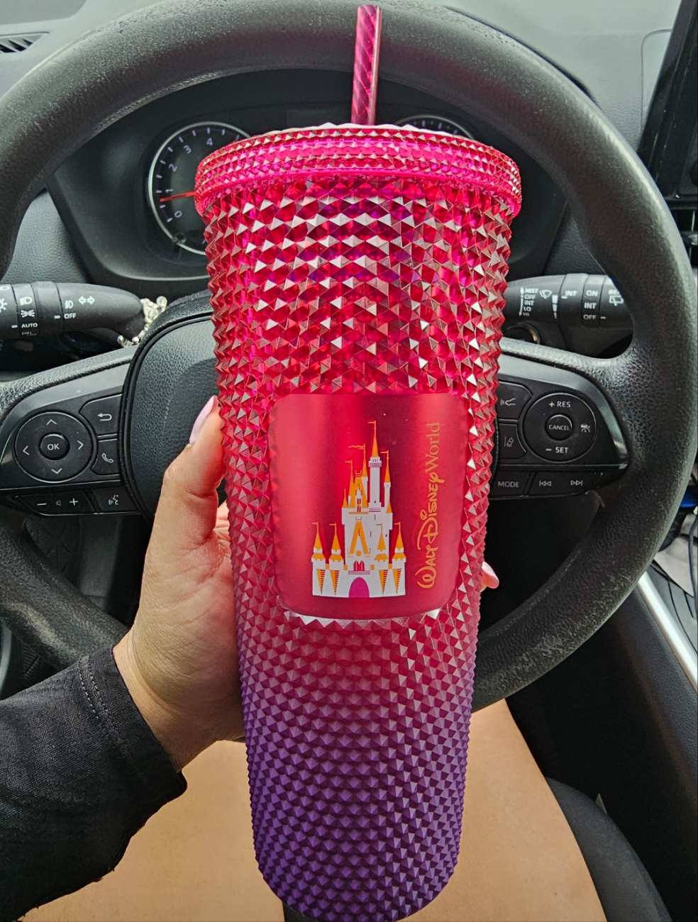Walt Disney World Starbucks Tumbler With Straw