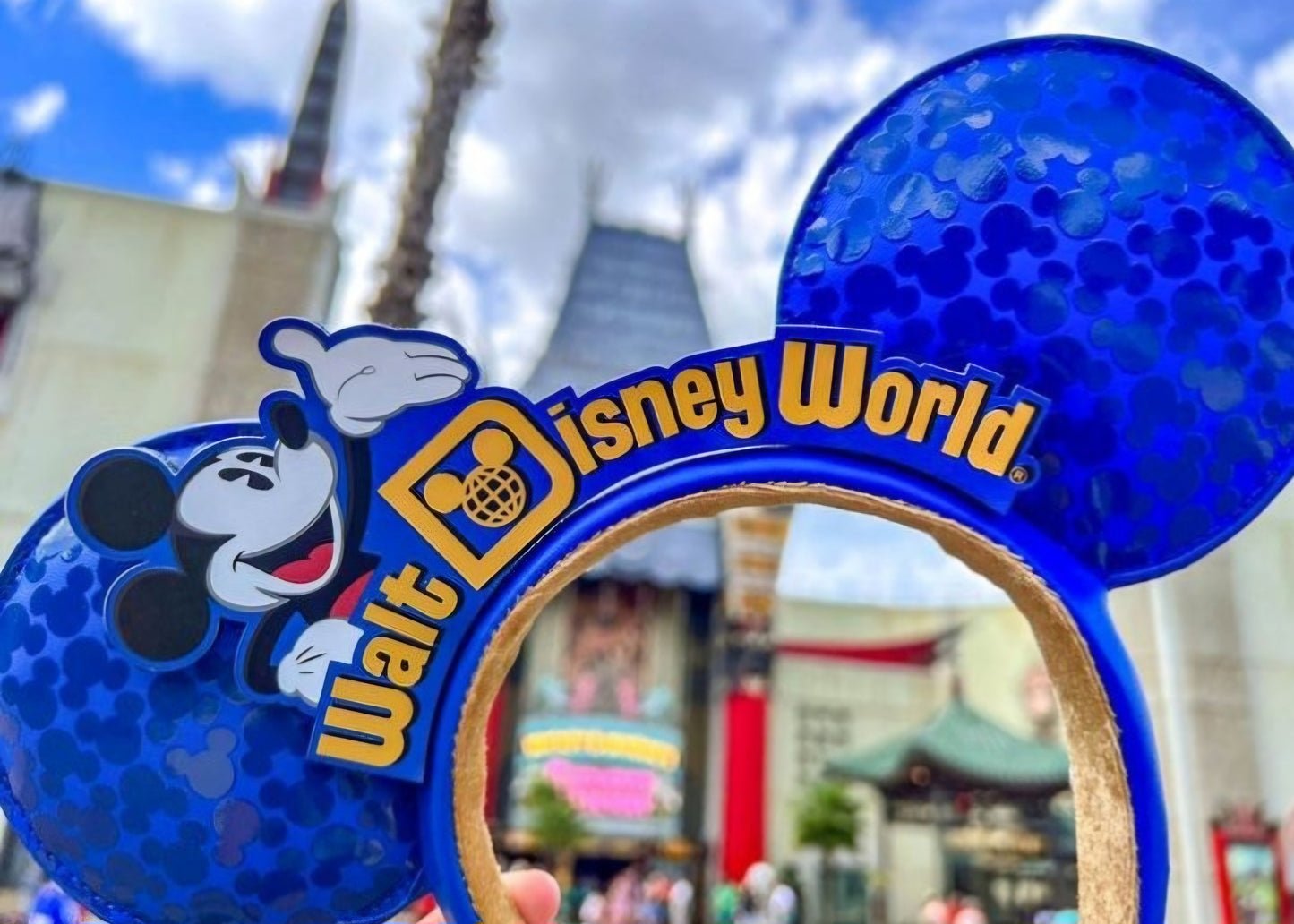 Mickey Ears Walt Disney World