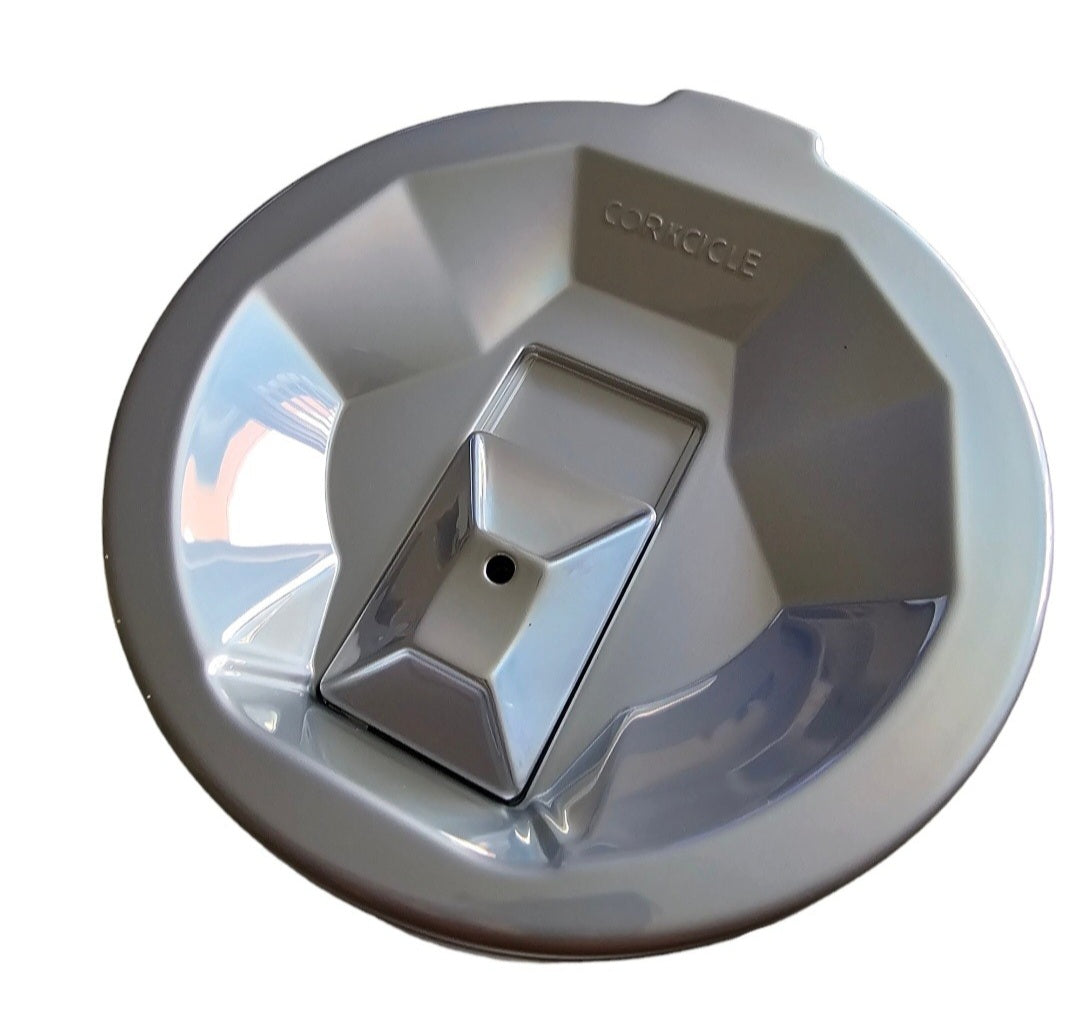 Lion King by Corkcicle