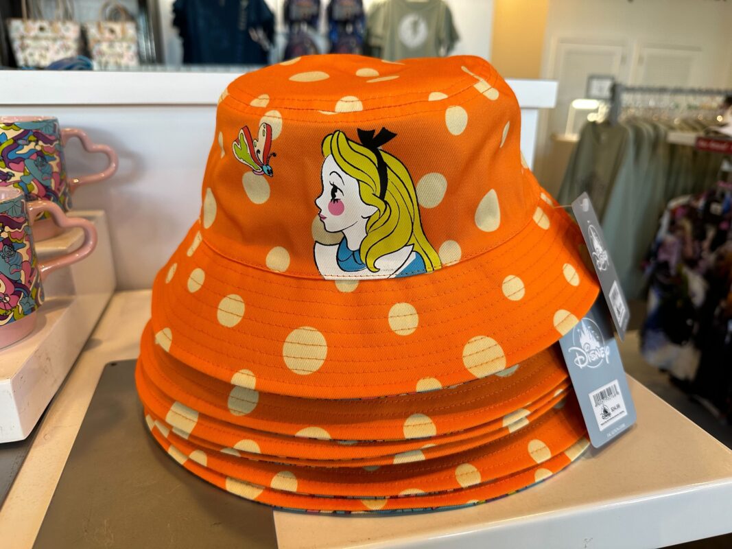Alice Hat Reversible