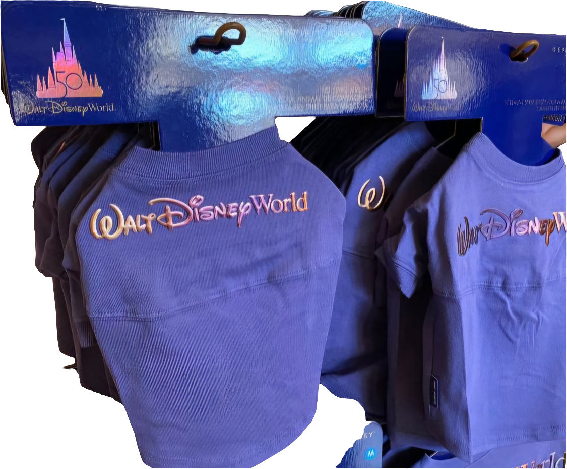 Pet Spirit Jersey Walt Disney World