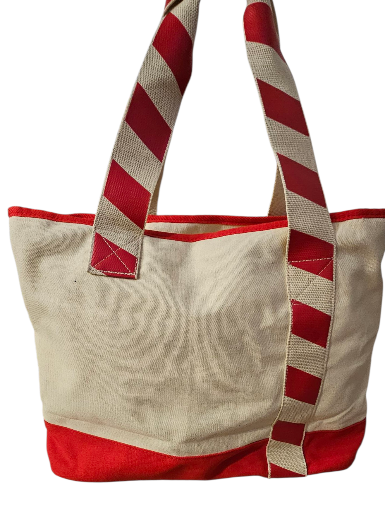 Disney Parks Walt Disney World Christmas Tote Bag Elf's Chip And Dale WDW