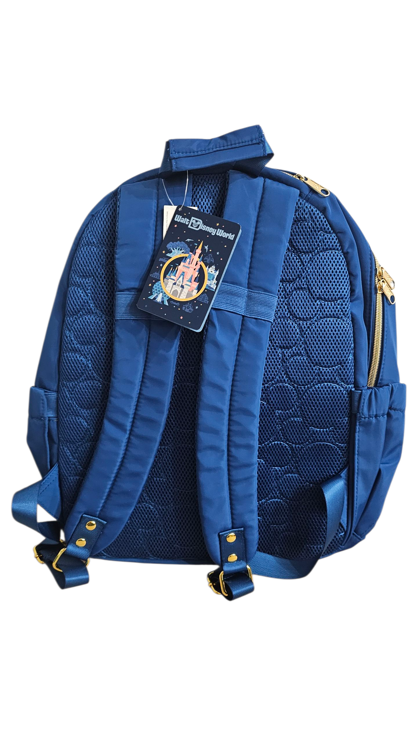 Walt Disney World Backpack